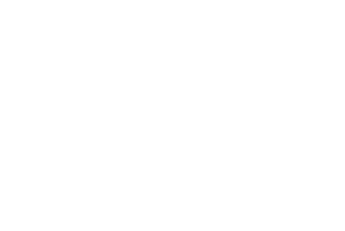 logo white transp